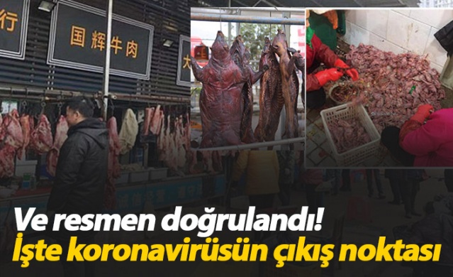 Resmen doğrulandı! İşte koronavirüsün çıkış noktası