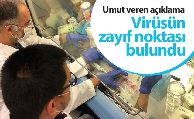 Koronavirüsün zayıf noktası bulundu