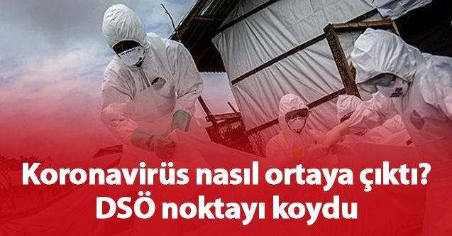 Koronavirüs nasıl ortaya çıktı? DSÖ noktayı koydu.