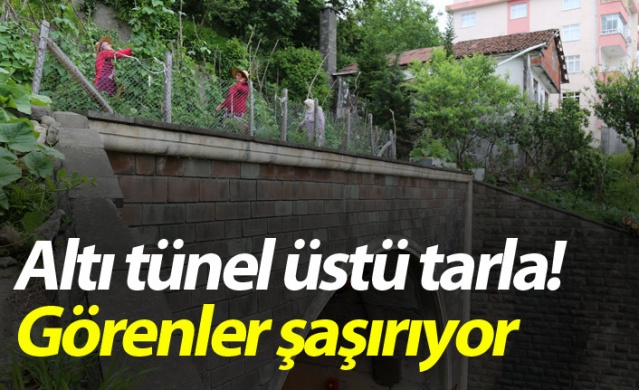 Altı tünel üstü tarla! Görenleri şaşırtıyor