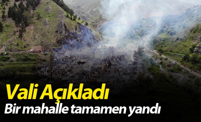 Vali Açıkladı! Artvin'e bir mahalle tamamen yandı