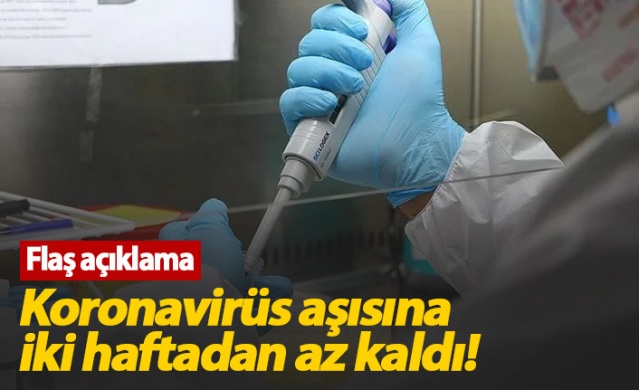 Koronavirüs aşısına iki hafta kaldı!