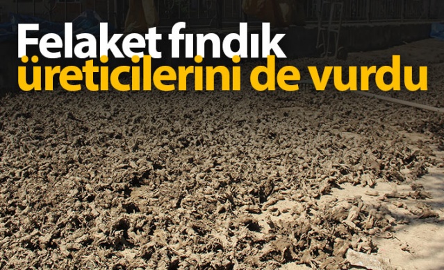 Felaket fındık üreticilerini de vurdu