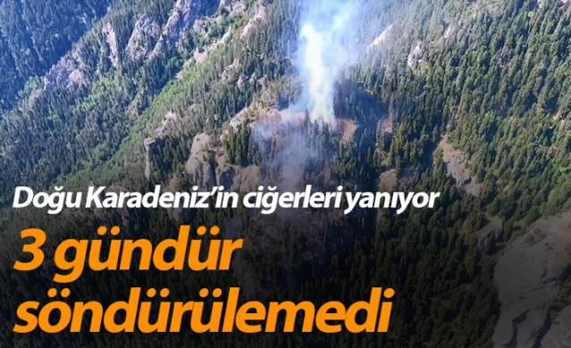 Artvin’deki orman yangını 3 gündür devam ediyor