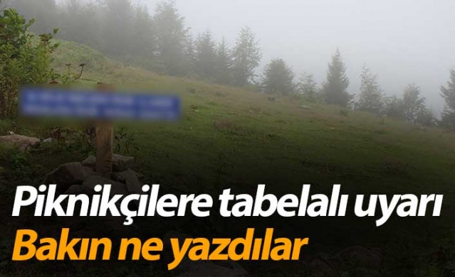 Piknikçilere tabelalı uyarı! Bakın ne yazdılar