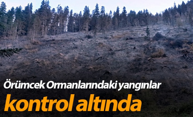 Gümüşhane'de Örümcek ormanlarındaki yangınlar kontrol altında