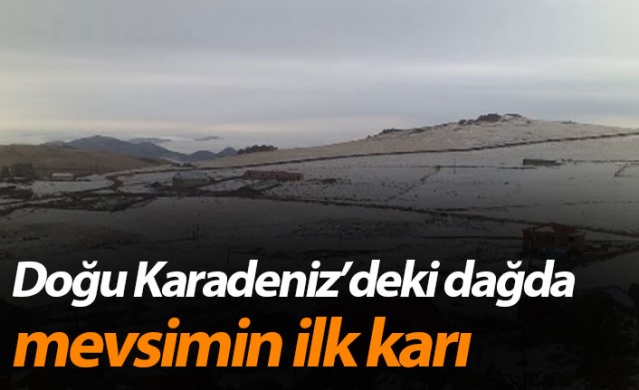 Doğu Karadeniz'deki dağda mevsimin ilk yarı yağdı