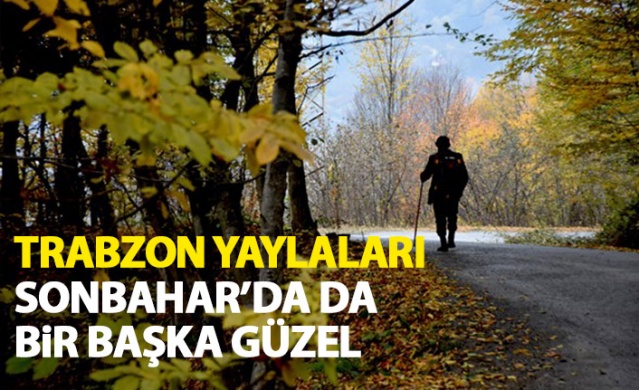 Trabzon Yaylaları Sonbahar'da da bir başka güzel