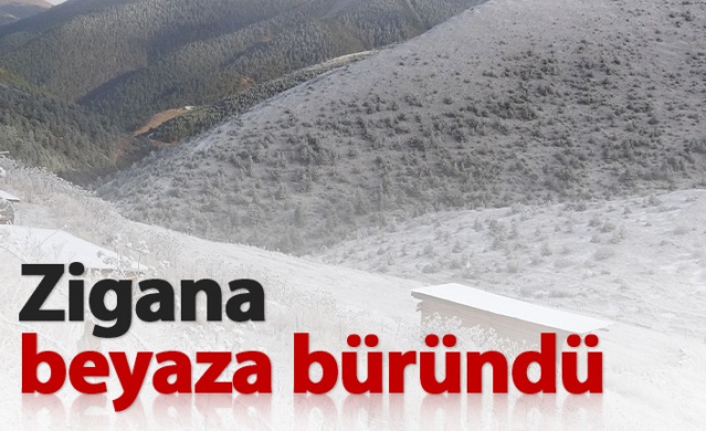 Zigana beyaza büründü