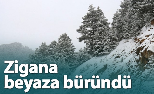 Zigana beyaza büründü