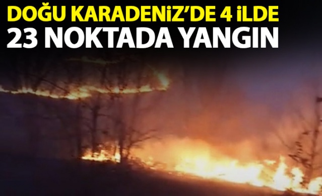 Doğu Karadeniz'de 4 ilde 23 noktada orman yangını