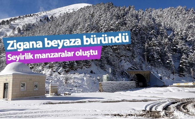 Zigana beyaza büründü, seyirlik manzaralar oluştu. 15 Ocak 2021