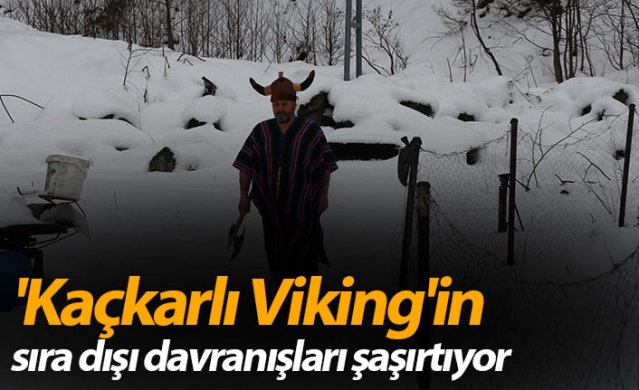 'Kaçkarlı Viking'in sıra dışı davranışları şaşırtıyor