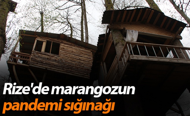 Rize'de marangozun pandemi sığınağı