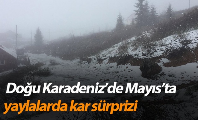 Doğu Karadeniz’de Mayıs’ta yaylalarda kar sürprizi