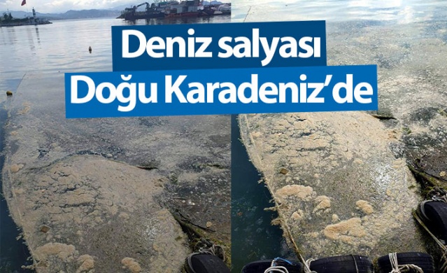 Doğu Karadeniz’de Deniz salyası  görüldü