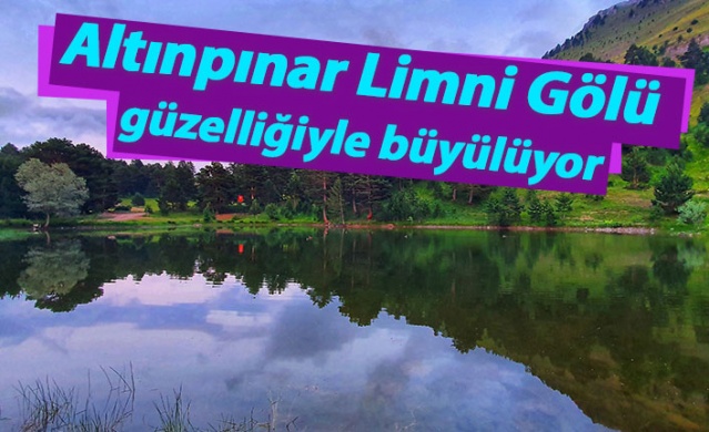 Altınpınar Limni Gölü güzelliğiyle büyülüyor