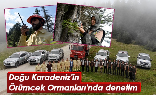 Doğu Karadeniz'in Örümcek Ormanları'nda denetim