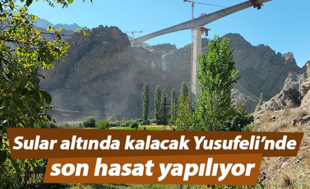 Sular altında kalacak Yusufeli’nde son hasat yapılıyor