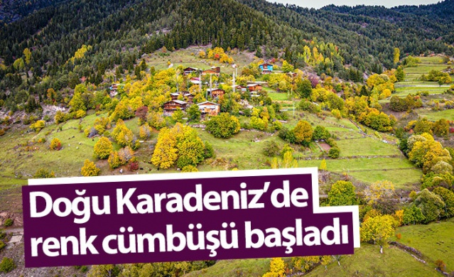 Sonbaharın gelişi ile sakin şehir Şavşat’ta renk cümbüşü başladı