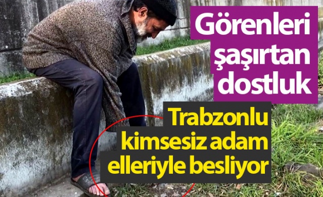 Görenleri şaşırtan dostluk! Trabzonlu kimsesiz adam elleriyle besliyor.