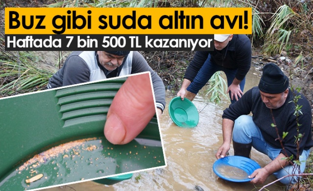 Buz gibi havada altın avı. Foto Galeri