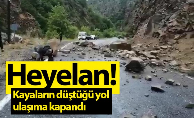 Artvin'de kayaların düştüğü yol, ulaşıma kapandı. Foto Galeri