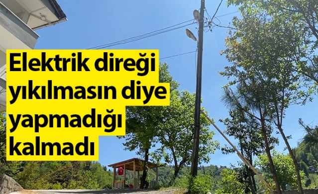 Rize'de elektrik direği yıkılmasın diye yapmadığı kalmadı