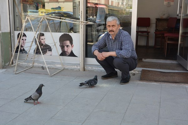 Ordu’da berberin güvercinlerle dostluğu. Foto Haber