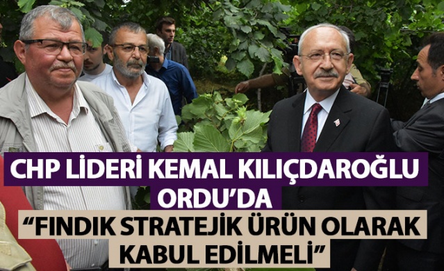 Kemal Kılıçdaroğlu Ordu'da: Fındık stratejik ürün olarak kabul edilmeli. Foto Haber