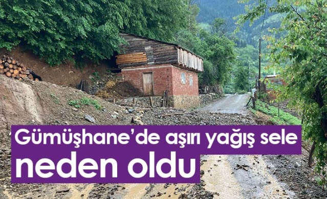 Gümüşhane’de aşırı yağış sele neden oldu. Foto Haber