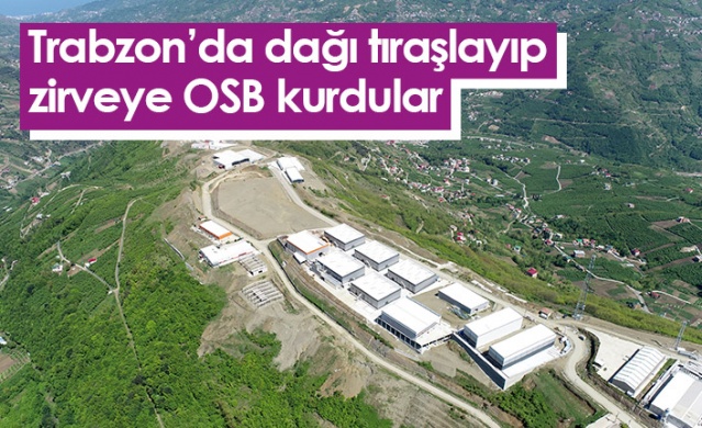 Trabzon'da dağı tıraşlayıp, zirveye OSB kurdular.Foto Haber