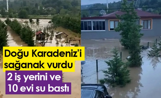 Doğu Karadeniz'i sağanak vurdu! 2 iş yerini ve 10 evi su bastı. Foto Haber