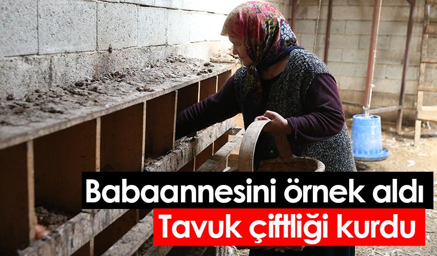 Babaannesini örnek aldı! Tavuk çiftliği kurdu. Foto Galeri