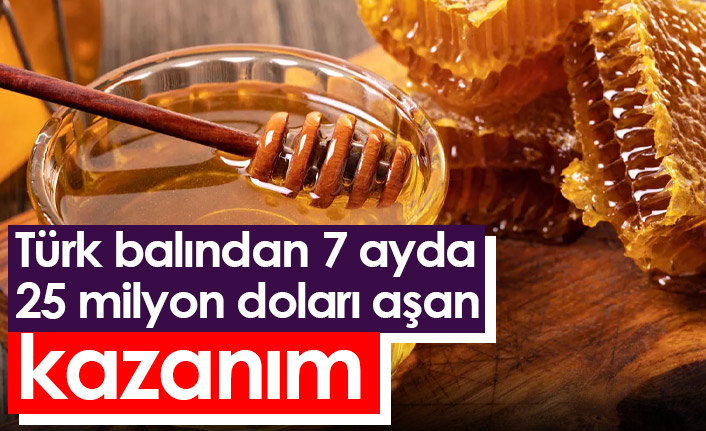 Türk balından 7 ayda 25 milyon doları aşan kazanım