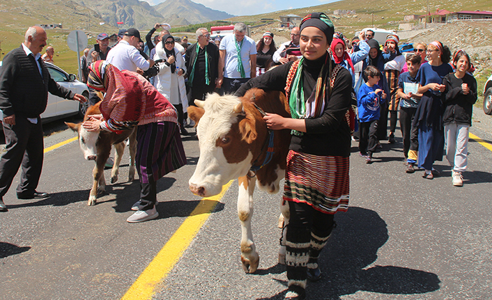 Ovit Yaylası'nda festival heyecanı, yayla göçü ile başladı