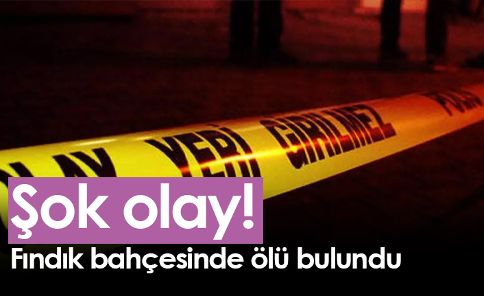 Samsun'da şok olay! Fındık bahçesinde ölü bulundu