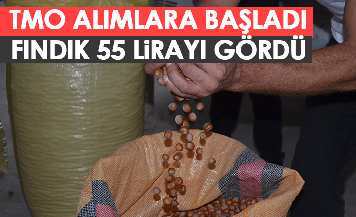 TMO alıma başladı! Fındık fiyatı ne kadar?