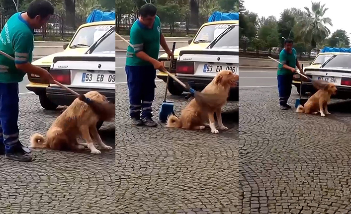 Rize'de temizlik görevlisinin köpeğin sırtını kaşıması yürekleri ısıttı