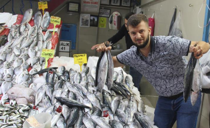 Palamut tezgahlarda yerini aldı