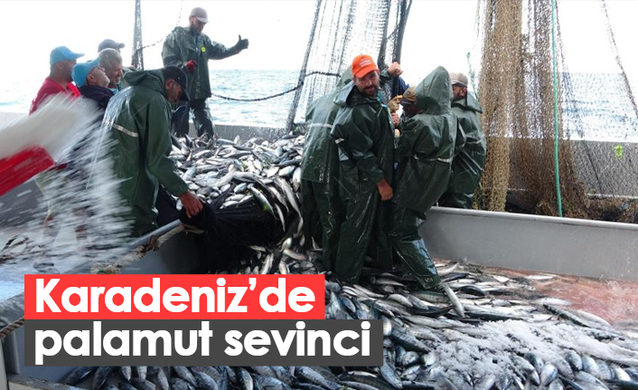 Karadeniz'de iri palamut sevinci