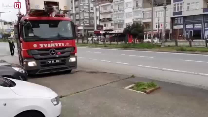 Trabzon'da hayvan kurtarma operasyonu