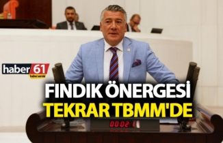 Fındık önergesi tekrar TBMM'de