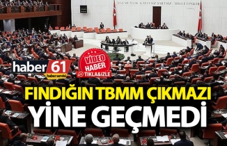 Fındığın TBMM çıkmazı - Yine geçmedi