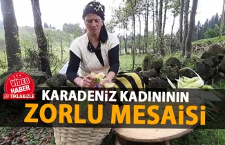 Karadeniz kadınının zorlu mesaisi böyle görüntülendi