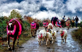 Trabzon’da yayla göçü şenliği düzenlendi