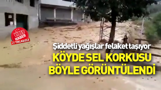 Rize'de ani gelen sel korku yarattı