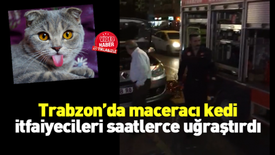 Trabzon'da maceralı gece! Kedi kaçtı, itfaiye saatlerce uğraştı