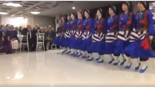 Folklor ekibinden şov