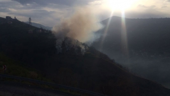 Trabzon Yıldızlı'da yangın paniği